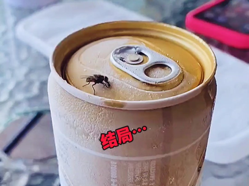 南方的苍蝇,被粘住了