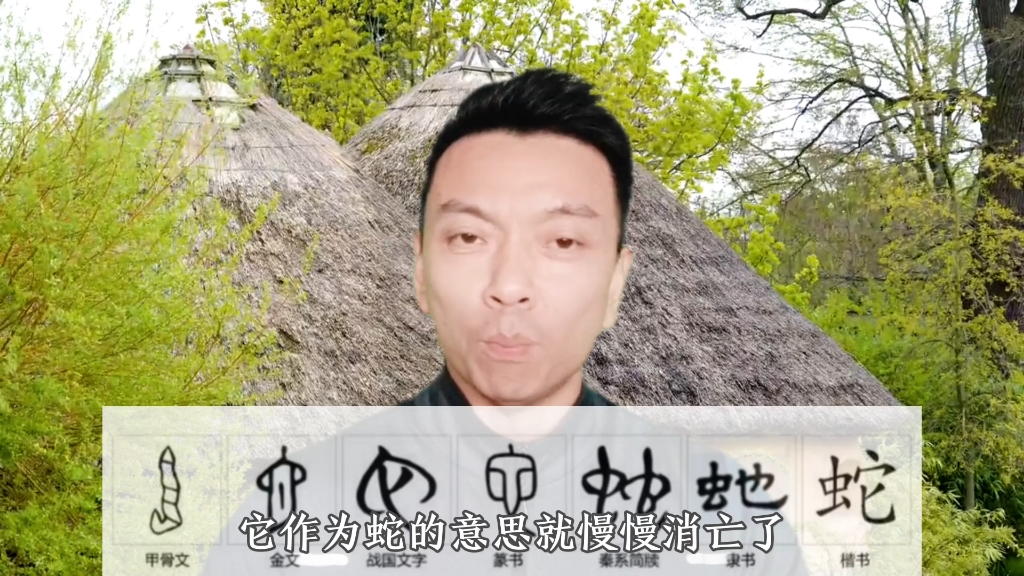 蛇字为什么有个它?哔哩哔哩bilibili