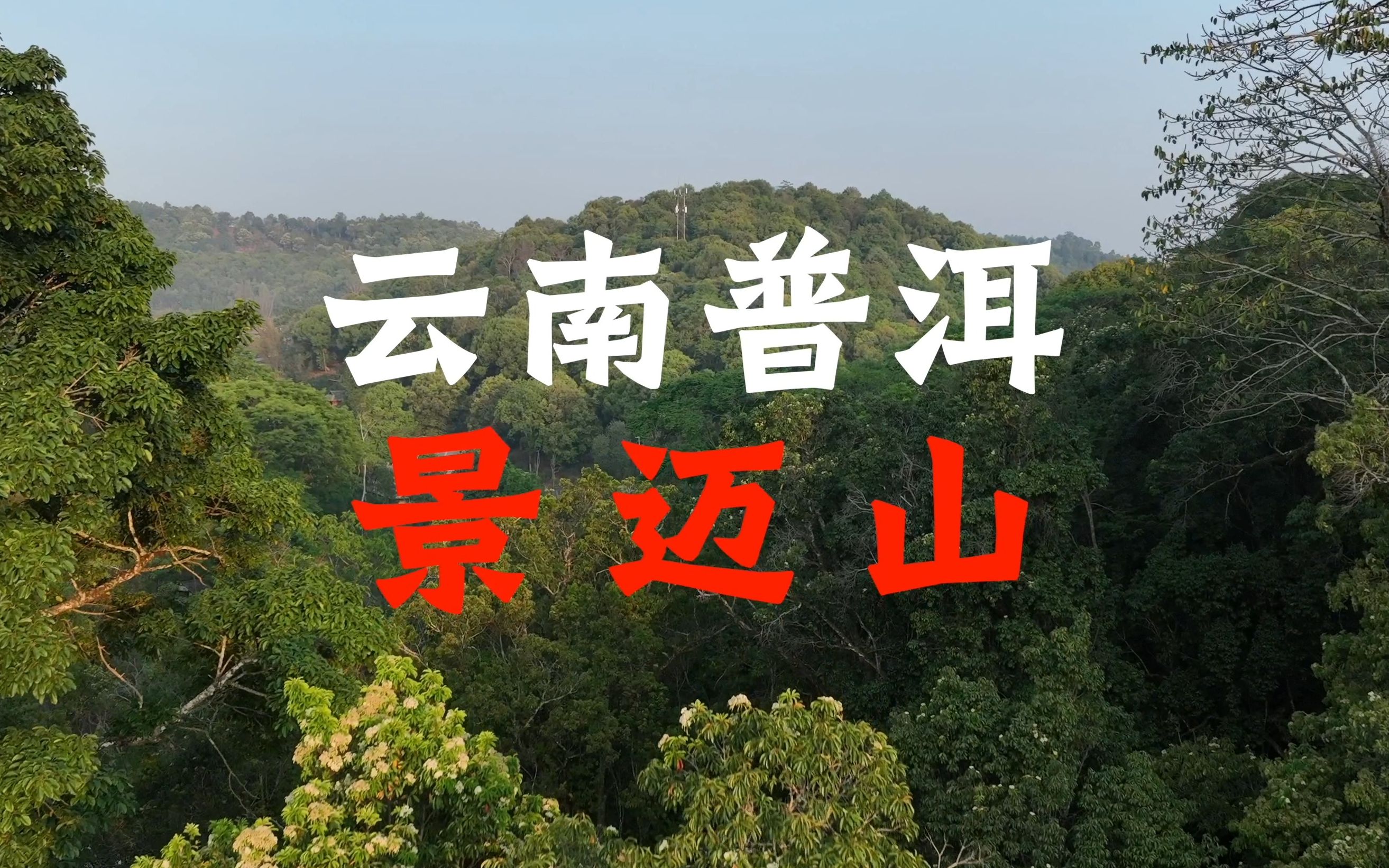 云南普洱“景迈山”,古茶林与古寨交相辉映哔哩哔哩bilibili