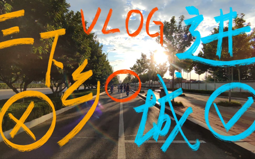 三下乡报告* 假期vlog✓哔哩哔哩bilibili