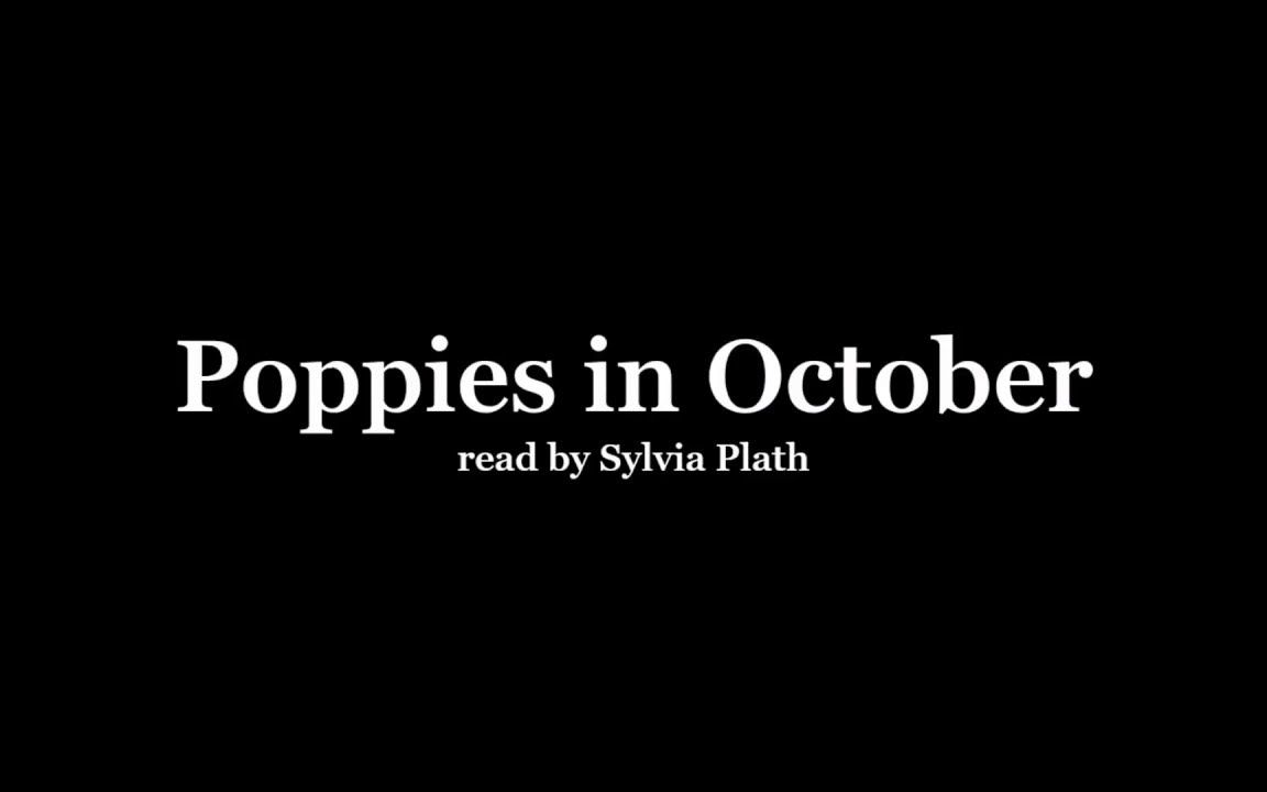 【西尔维娅ⷦ™‰斯|英字】读诗|《十月的罂粟花》|Sylvia Plath reading 'Poppies in October'哔哩哔哩bilibili