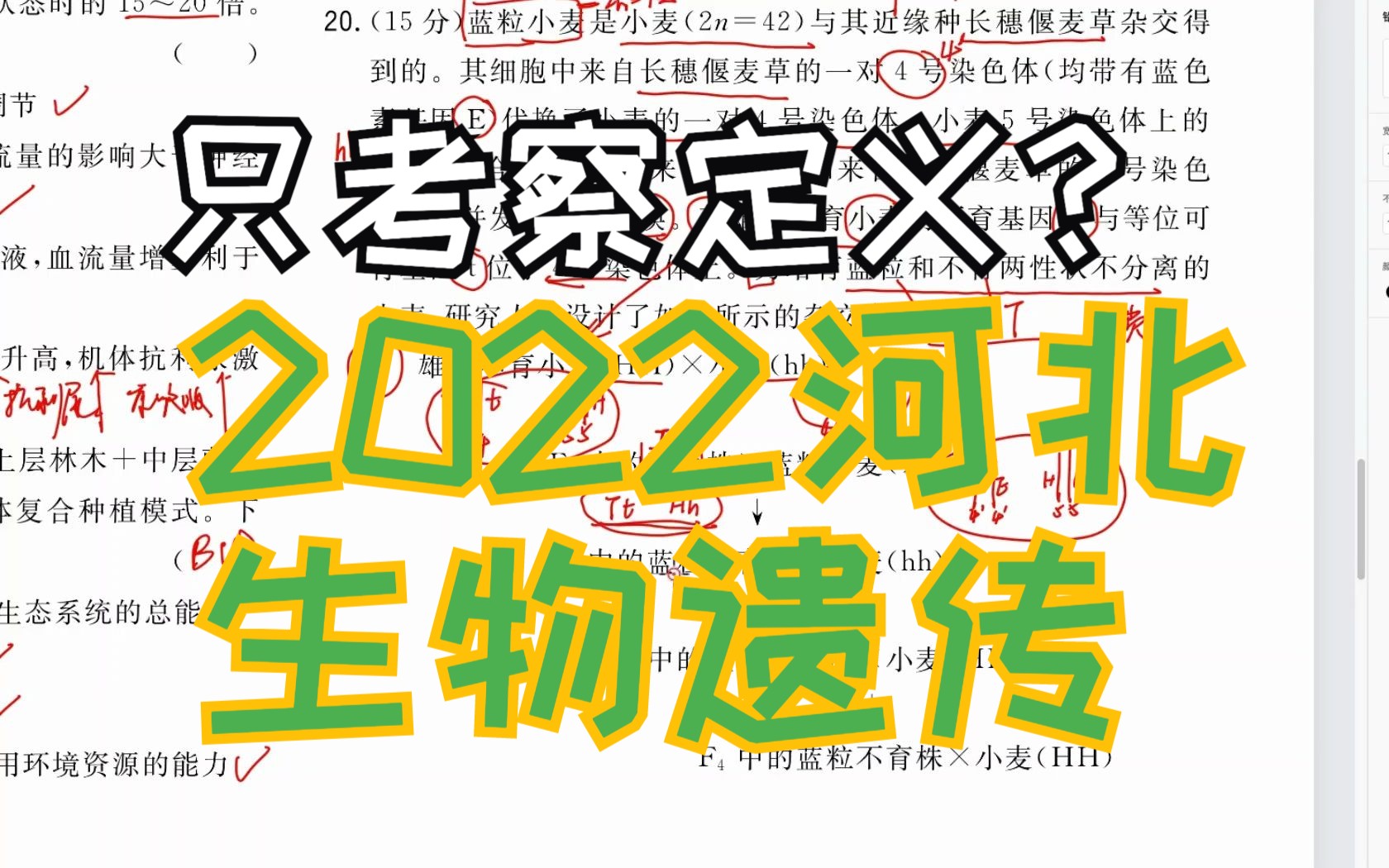 【2022河北高考生物遗传大题】蓝粒小麦长穗偃麦草交换互换染色体变异自由组合育种 考试生物试卷 新人教版新高考新课标网课知识点讲解高中生物学莫西...