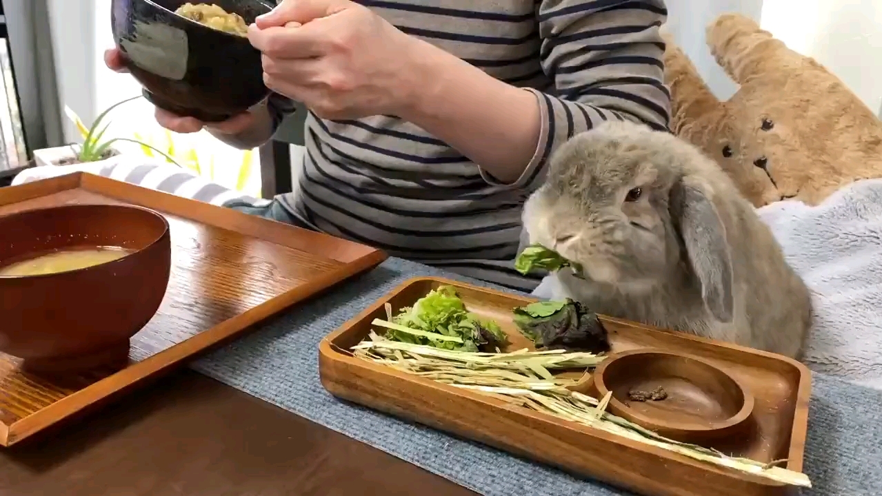 男友吃飯vs 你吃飯