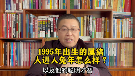 十二生肖运势详解:1995年出生的属猪人进入兔年要注意什么?哔哩哔哩bilibili