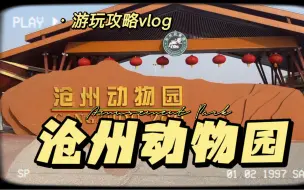 Download Video: 沧州动物园|10块钱就能玩一天，值翻了好伐