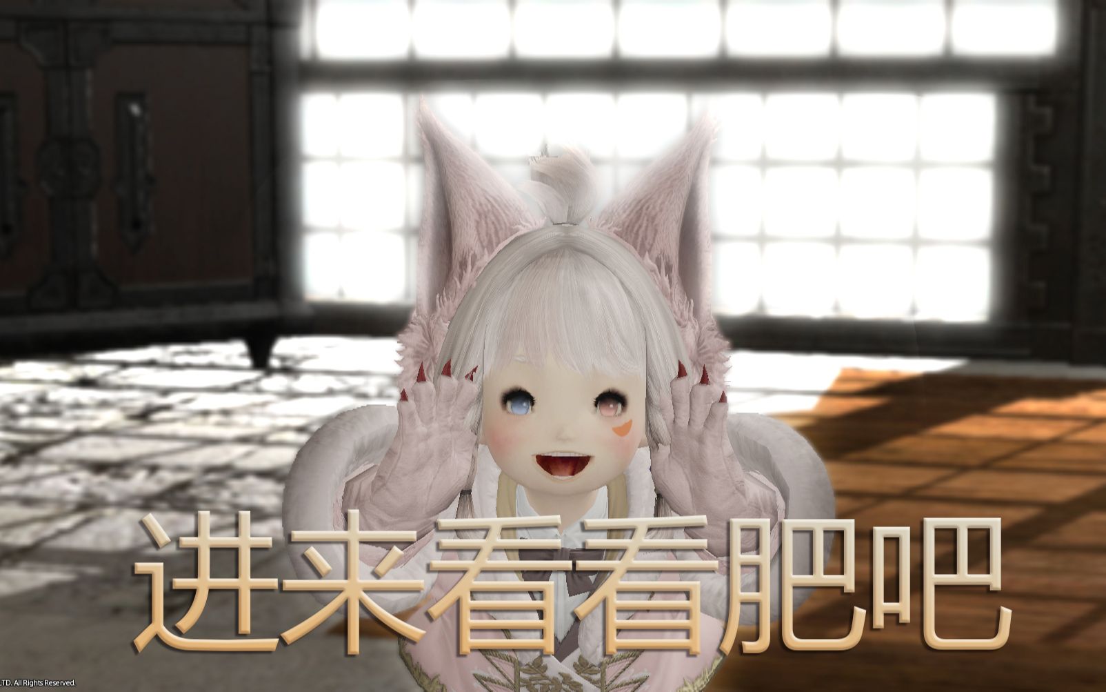 【ff14幻化】异瞳肥肥的幻化之旅_哔哩哔哩_bilibili