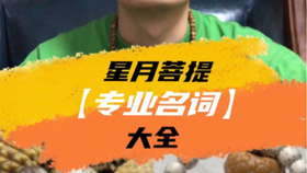 玩星月的不能不知道的星月菩提 专业名词 大全 哔哩哔哩 つロ干杯 Bilibili