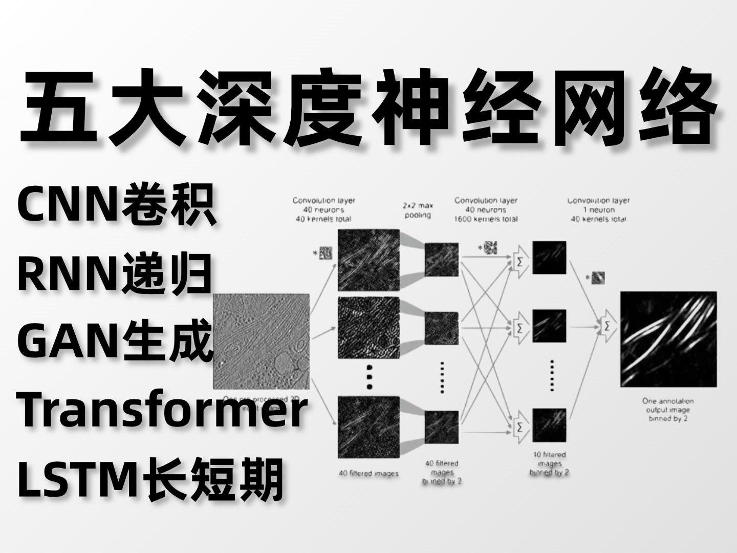 强推!计算机博士半天就教会了我5大经典神经网络,CNN/RNN/GAN/Transformer/LSTM,比导师教的简单多了!哔哩哔哩bilibili