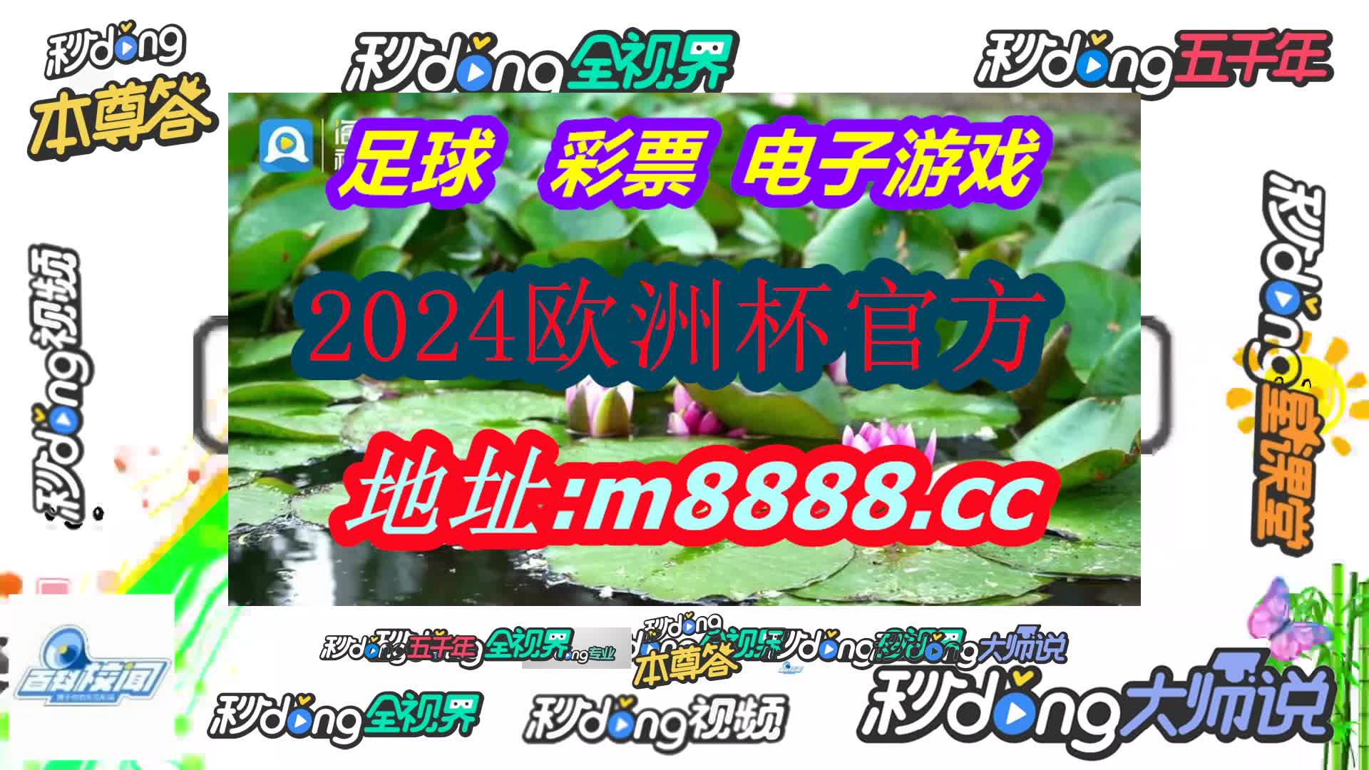 黄大仙资料一码100准(哔哩哔哩)498期