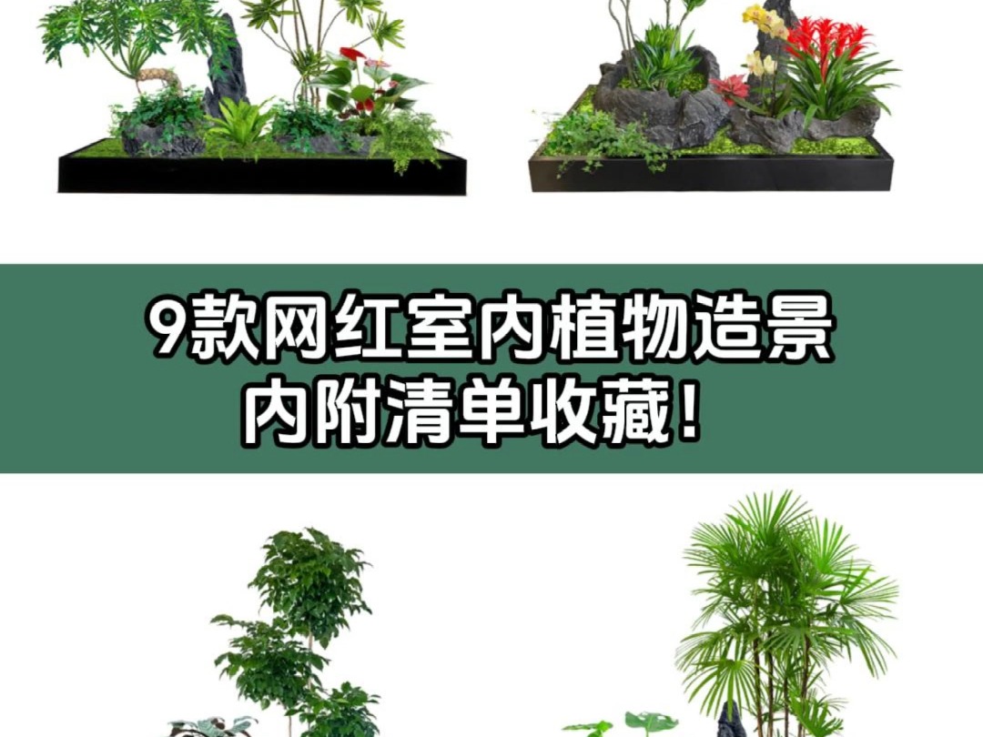 9款网红室内植物造景,内附清单收藏!哔哩哔哩bilibili