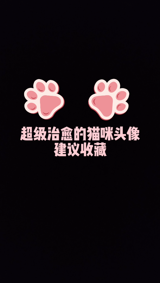 超级治愈猫咪头像哔哩哔哩bilibili