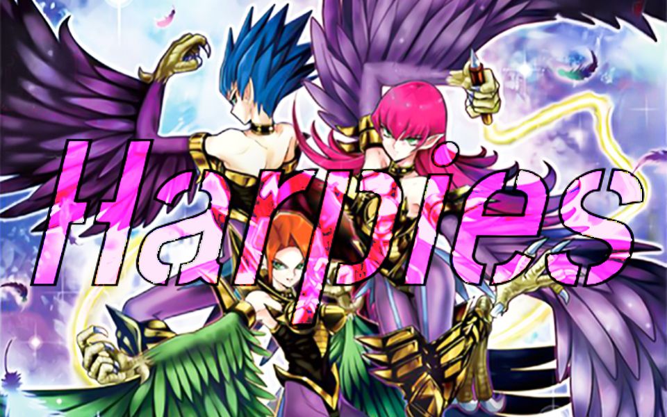 241#游戏王决斗链接:主流牌组场地神鹰女郎,新晋主流神鹰女郎有多强?