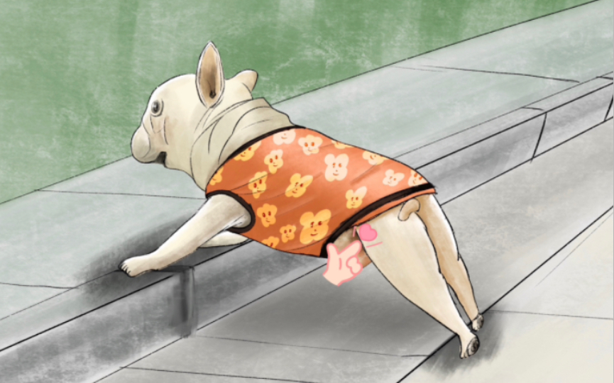 腿短尴尬,进退两难!