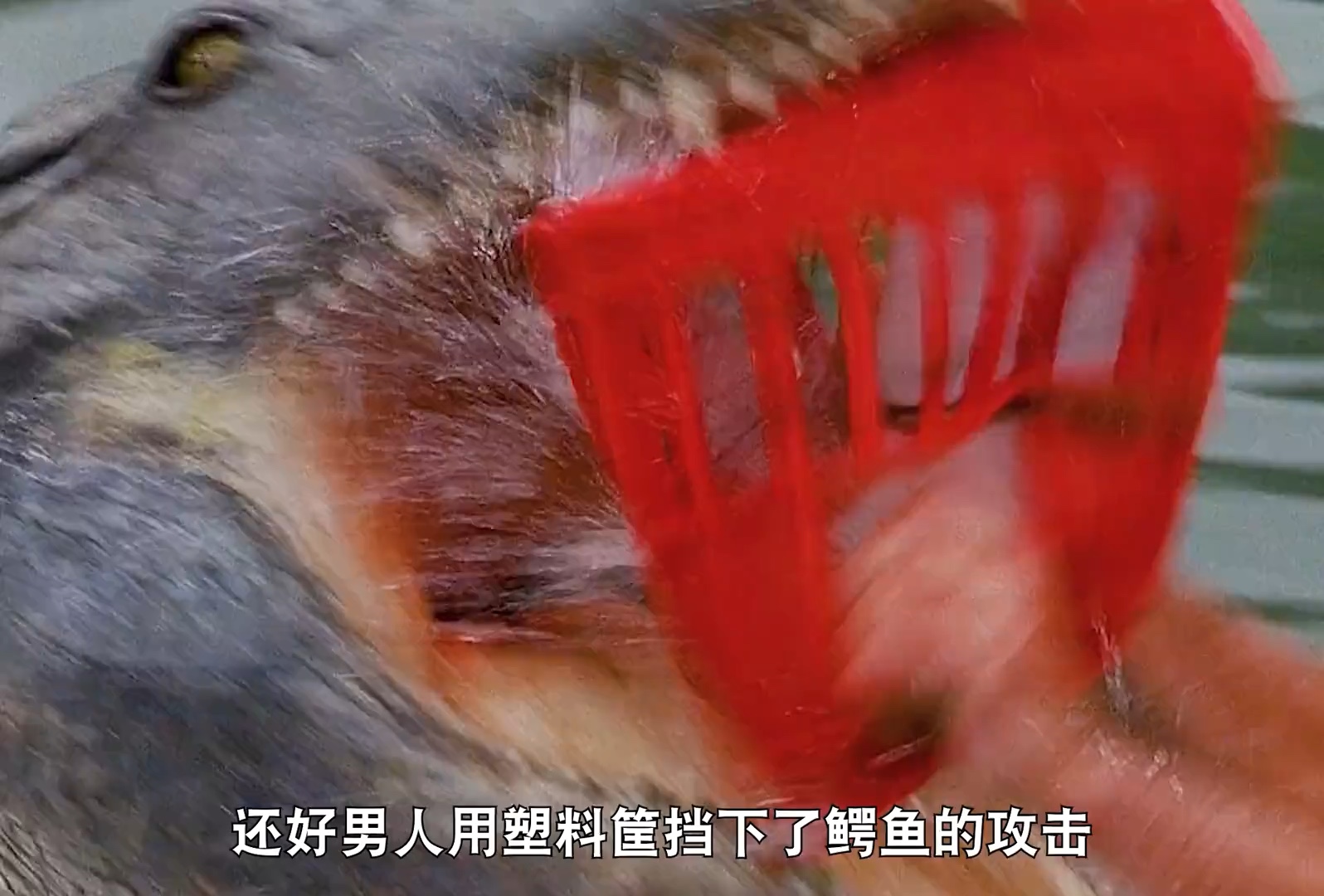 推荐一部非常好看的惊悚电影《狂蟒之灾2》