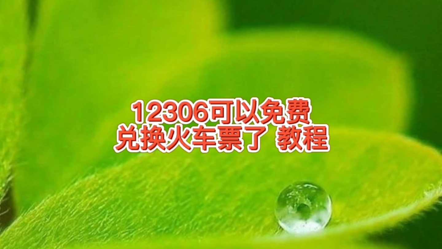 坐火车可以积攒积分了,12306可以免费兑换火车票,手把手教你哔哩哔哩bilibili