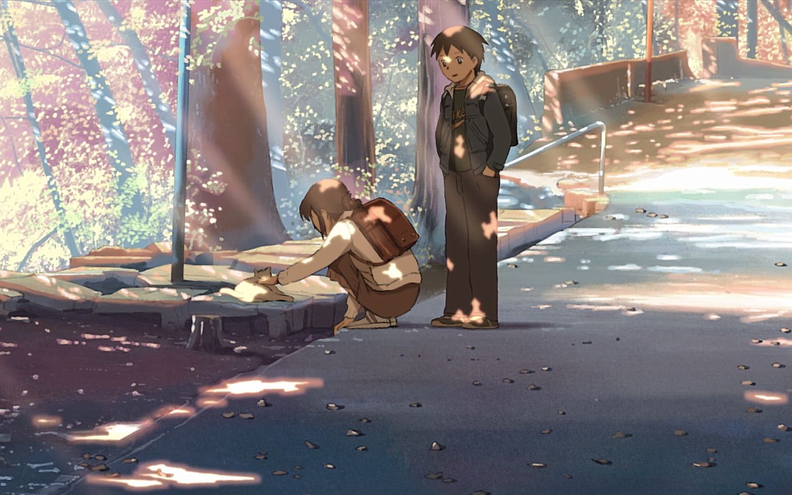 秒速五厘米 B站