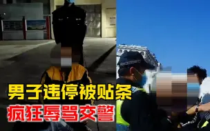 Download Video: 男子违停被贴条疯狂辱骂交警，警告无效交警出手瞬间制服