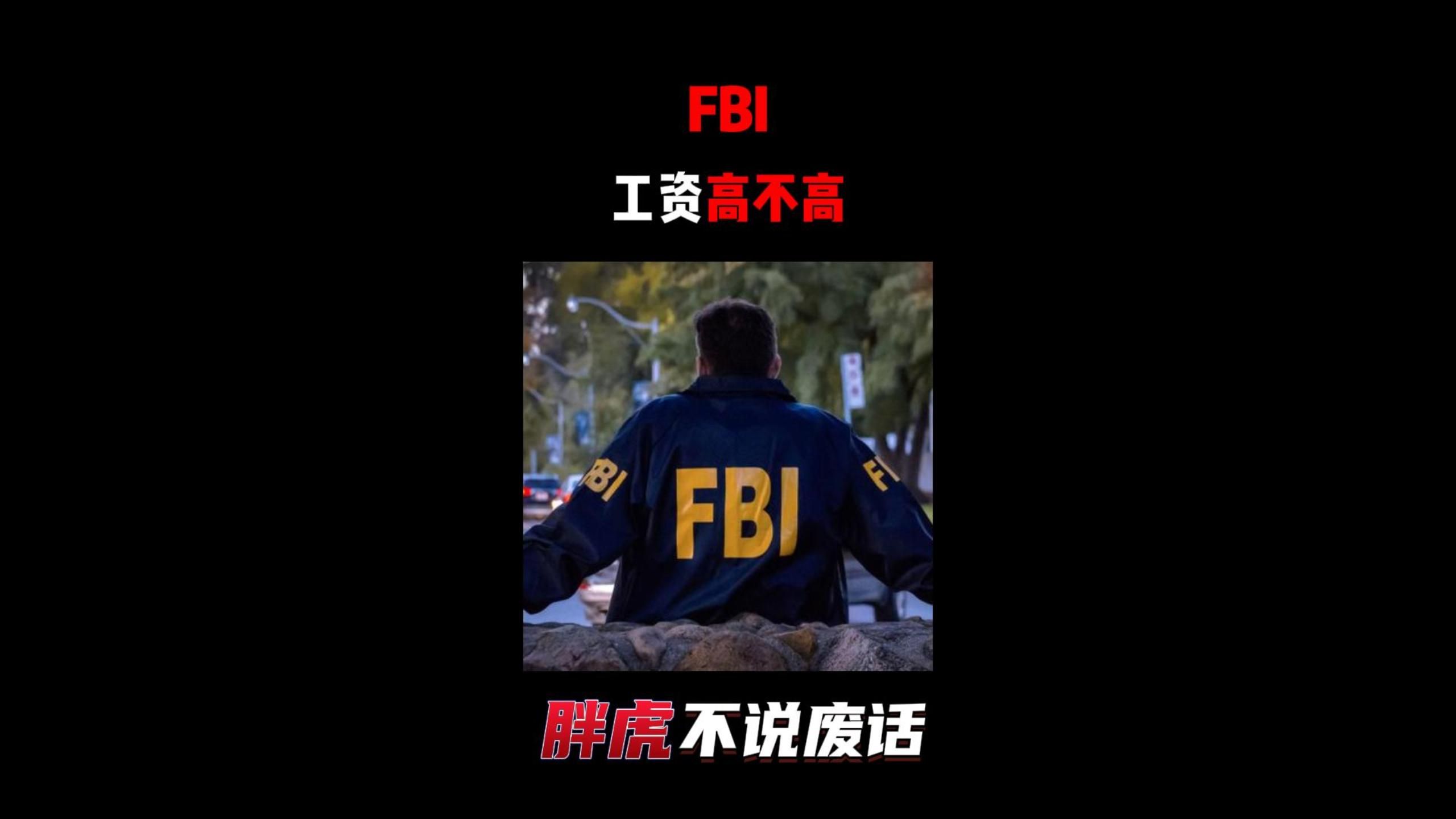 FBI工资高不高?权力大不大?哔哩哔哩bilibili