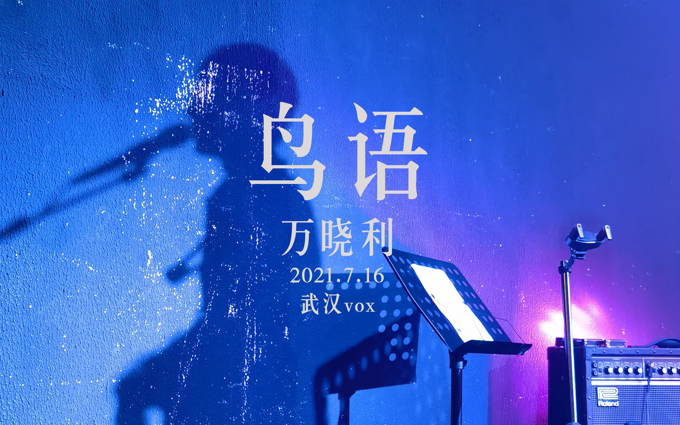 万晓利鸟语20210716呼吸巡演武汉voxlivehouse