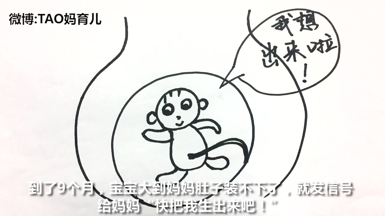 幼儿我从哪里来简笔画图片