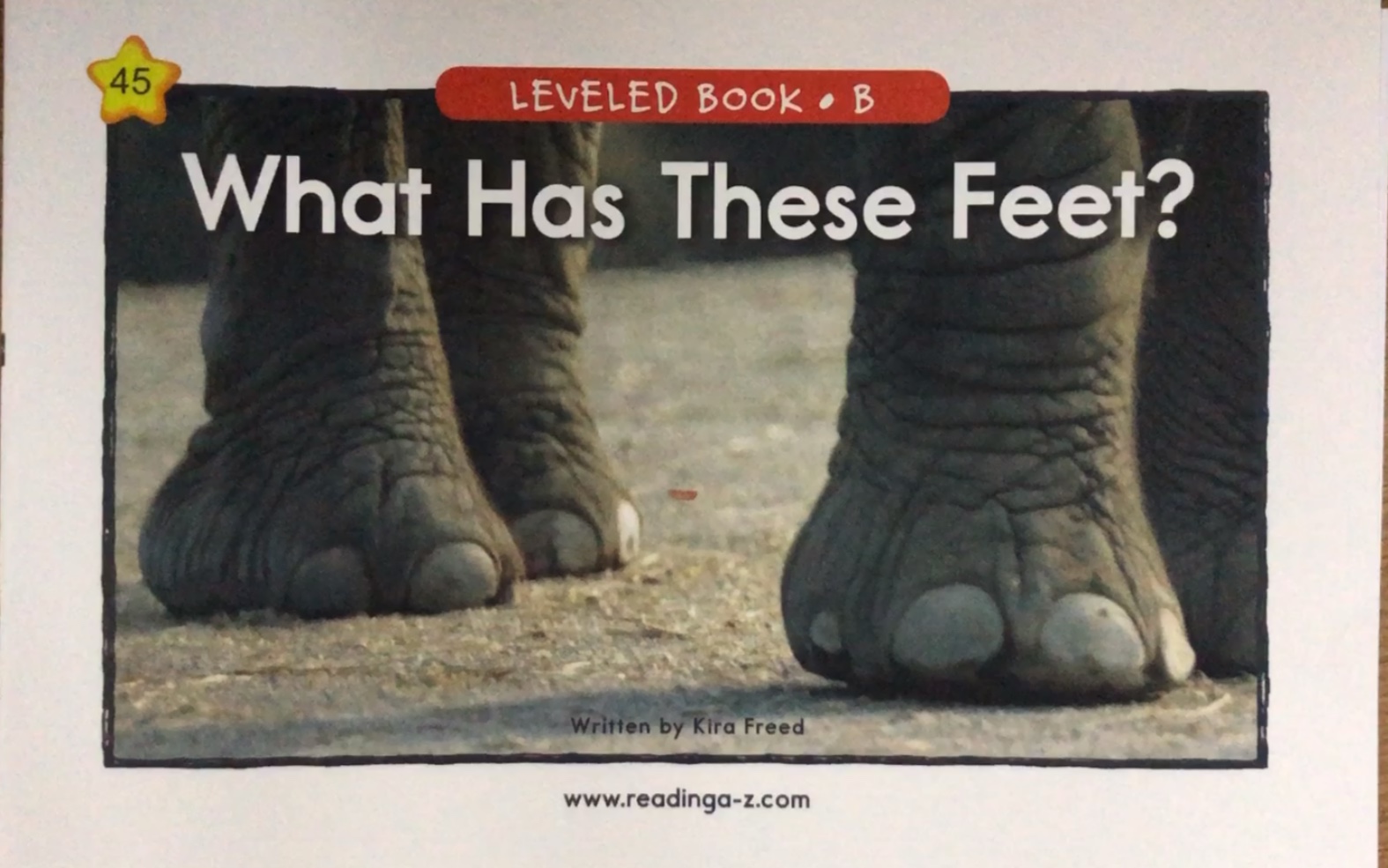 少儿英语启蒙raz分级阅读b45whathasthesefeet什么有这样的脚