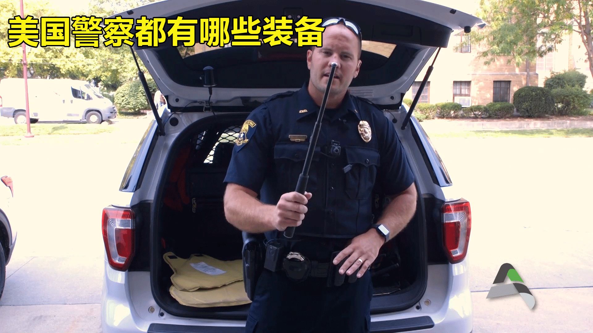 美国警察武器图片