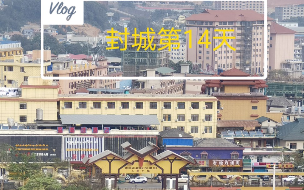 活动  缅甸佤邦邦康封城第14天,网购芒果30元1斤,贵吗