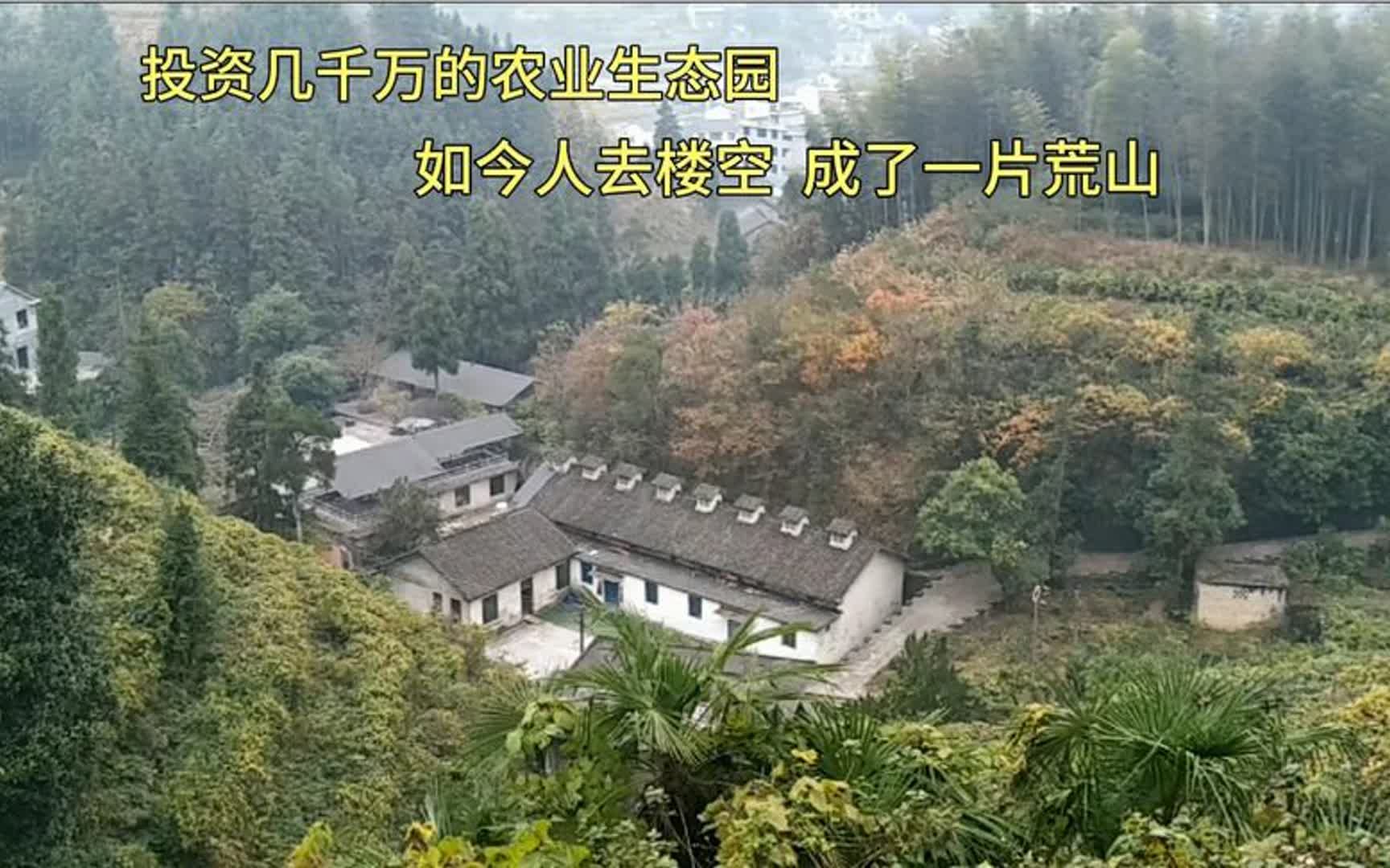 大型农业生态园,占地几百亩,如今人去楼空,成了一片荒山好可惜哔哩哔哩bilibili