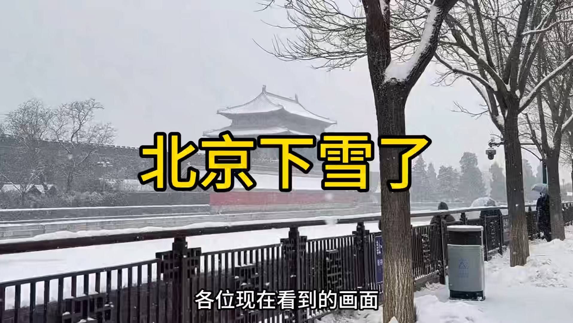 北京下雪啦,2024年的第一场雪,太美了哔哩哔哩bilibili