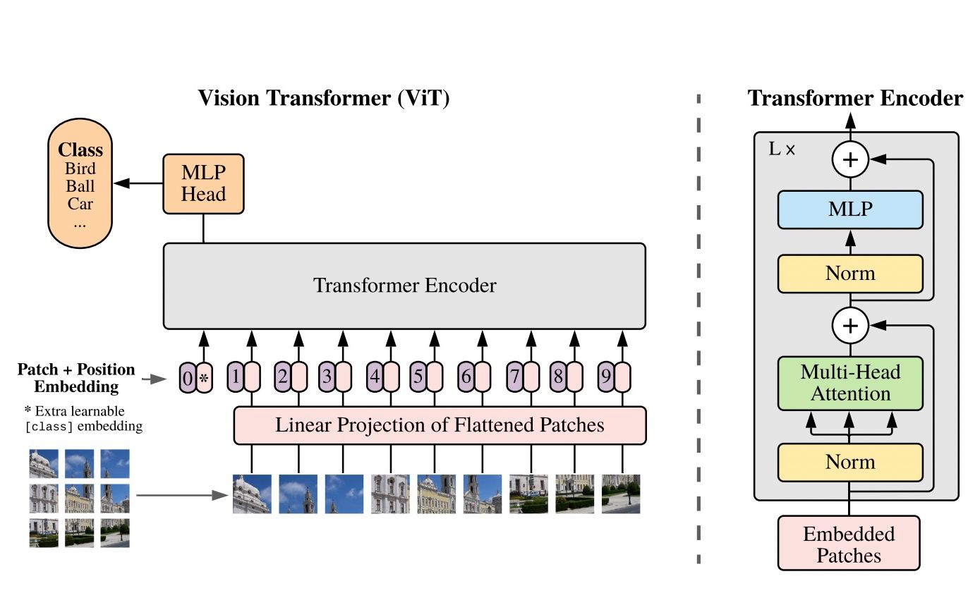 [图]VIT: AN IMAGE IS WORTH 16X16 WORDS: TRANSFORMERS FOR IMAGE RECOGNITION AT SCALE