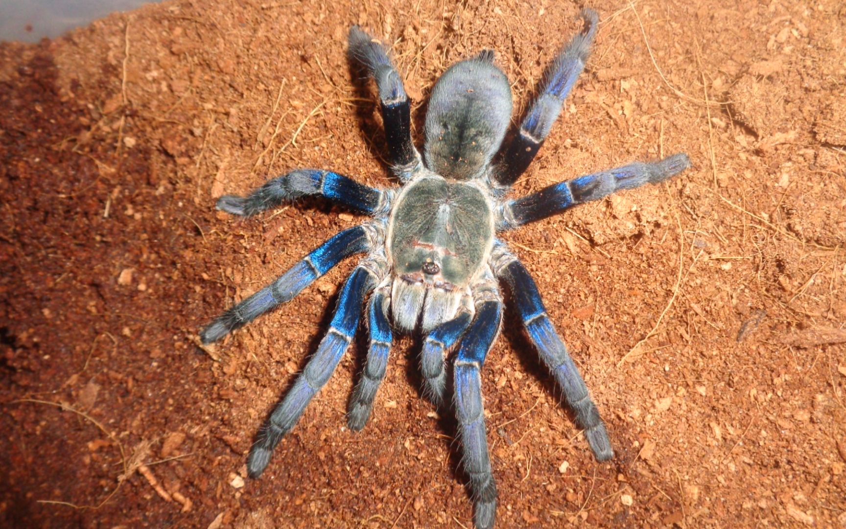 这是一个被吓了两跳的开箱视频_哔哩哔哩_bilibili