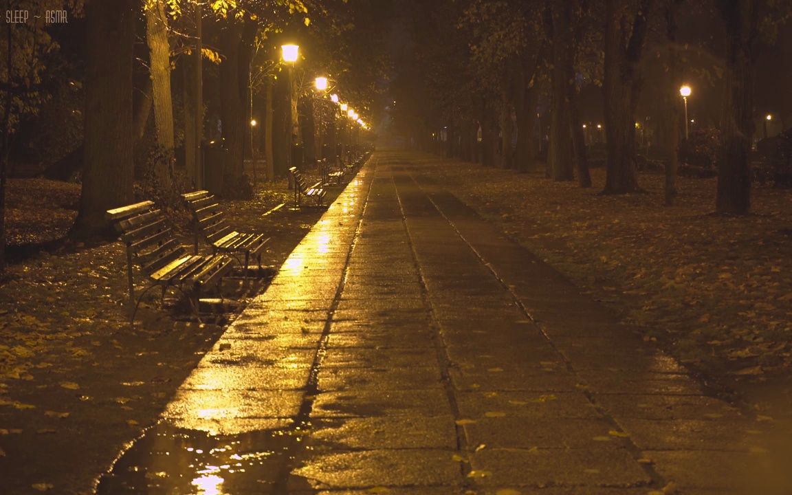 [图]【雨声】公园里安静的夜晚，空荡荡的小巷，雨落到水坑的声音令人放松