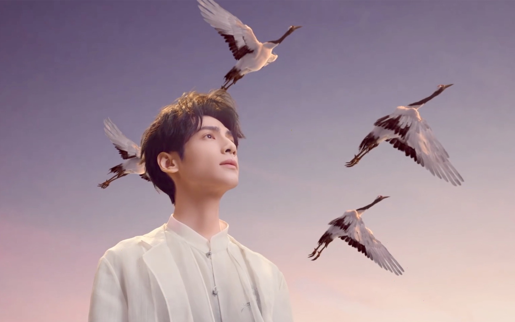 【云中君】罗云熙||白鹤少年