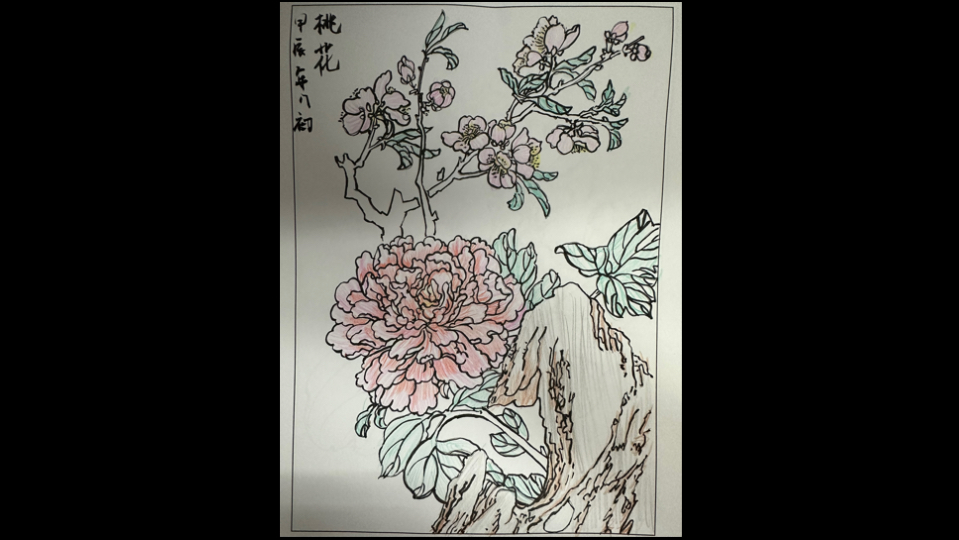 国花白描图片