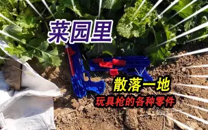 Download Video: 别人家的菜园里，散落一地玩具枪的各种零件，我竟然把它组装起来