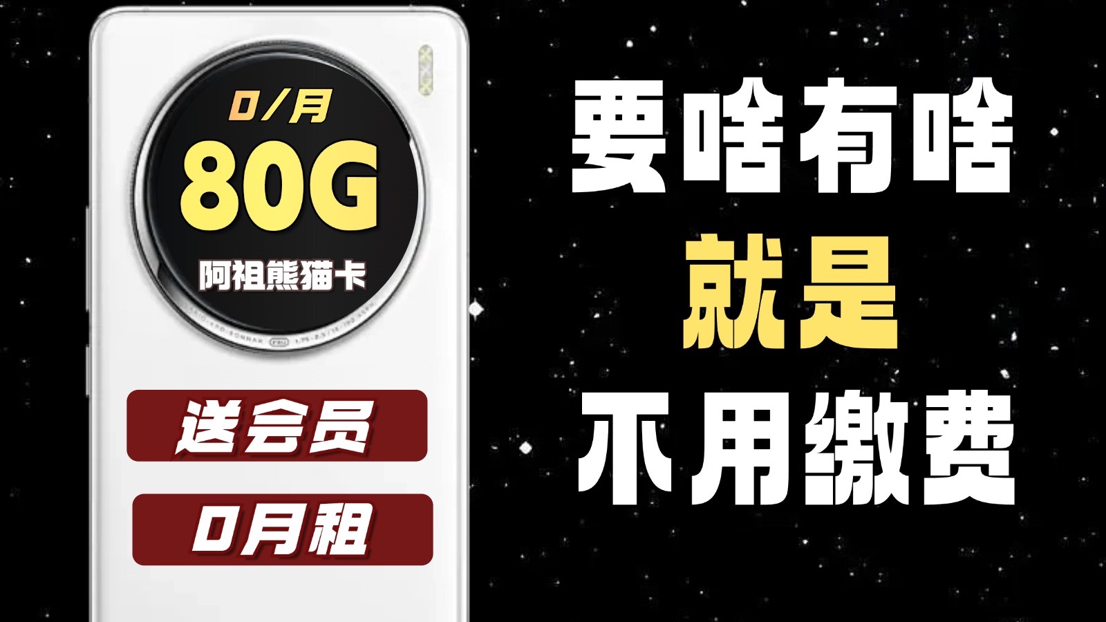 要流量有流量!要话费没话费!移动熊猫卡!前七个月免费!80G全国流量500分钟免费通话,送四年会员权益哔哩哔哩bilibili