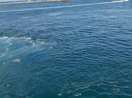 韩国济州岛海景