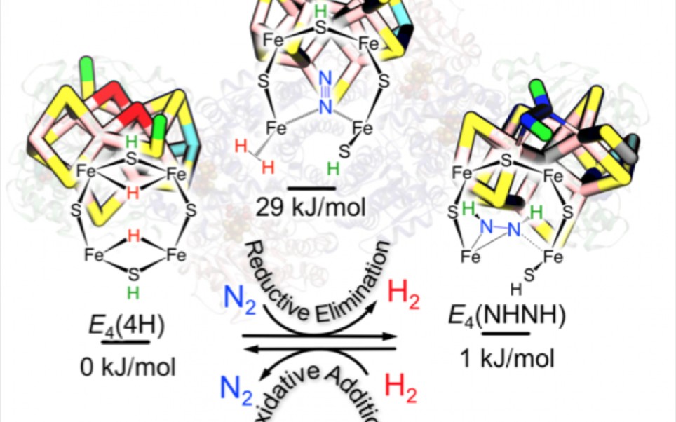 学英语系列——固氮酶(nitrogenase)