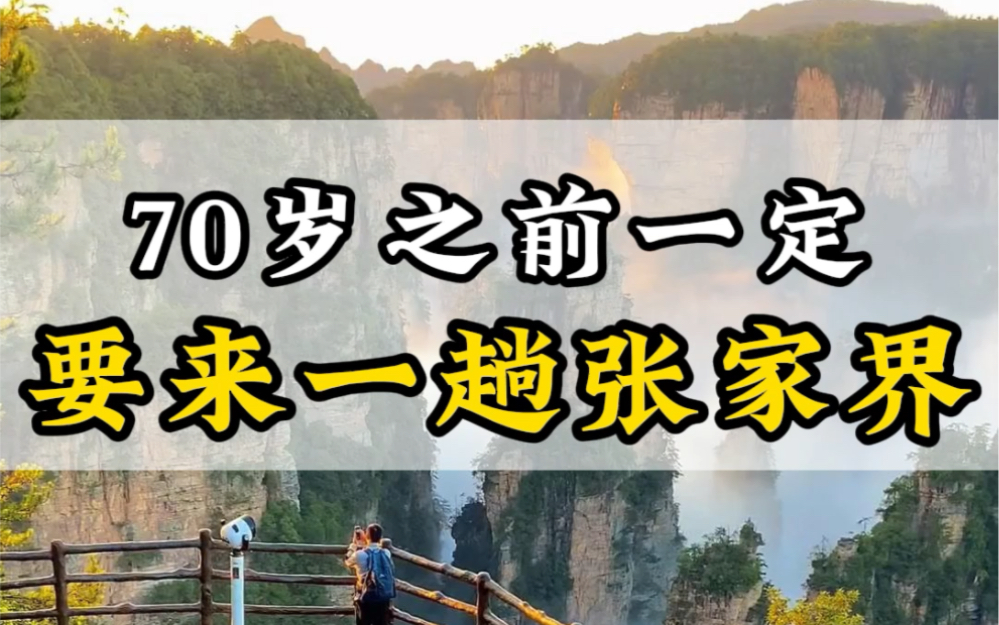 70岁之前一定要去一趟张家界,现在费用不高,两个人来张家界玩五天,吃住行门票导游用车都包,人均只需要1000块#厦门旅游攻略 #鼓浪屿 #厦门旅游...