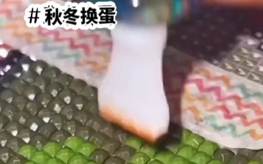 书:秋冬换蛋#知乎小说