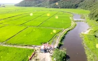 看看秘乐短视频的万亩网红稻田吧！