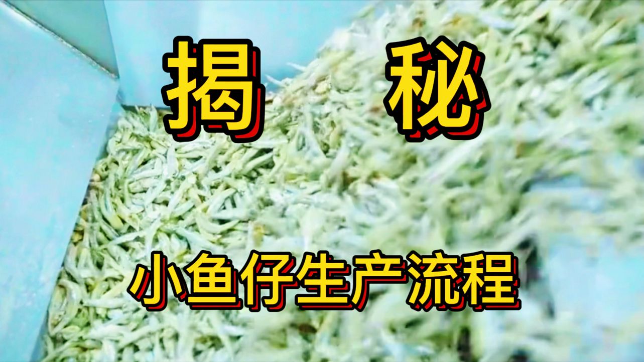 [图]小鱼干竟然是这样加工出来的