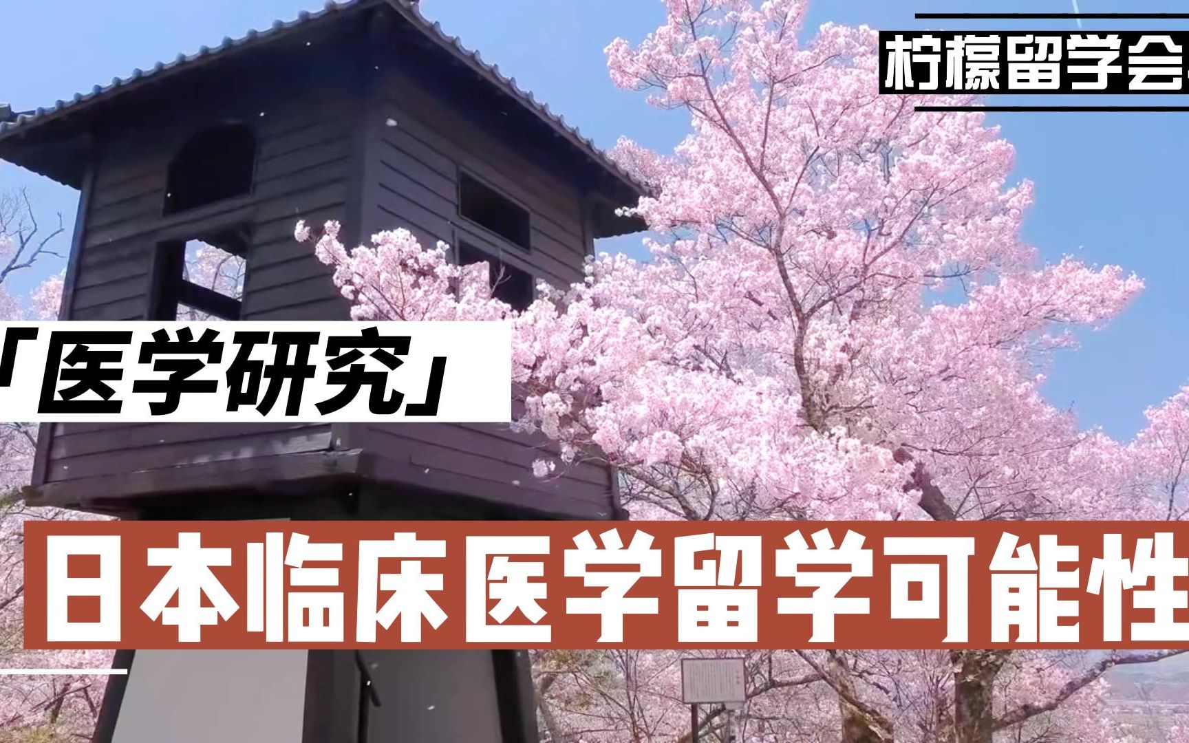 日本临床医学留学可能性?