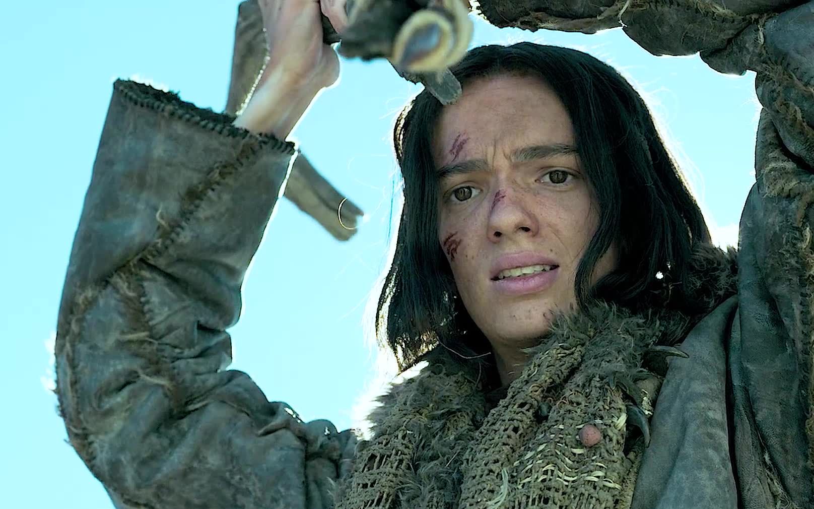 阿尔法狼伴归途