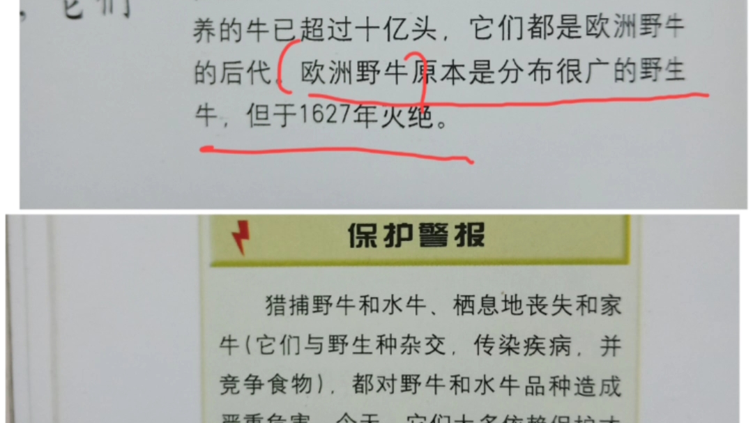 翻译混淆伤脑筋第一弹:两个所谓欧洲野牛的英文的混淆翻译哔哩哔哩bilibili