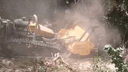 森林拓荒机全地形开辟车机器人堤坝割草机荒山割灌机