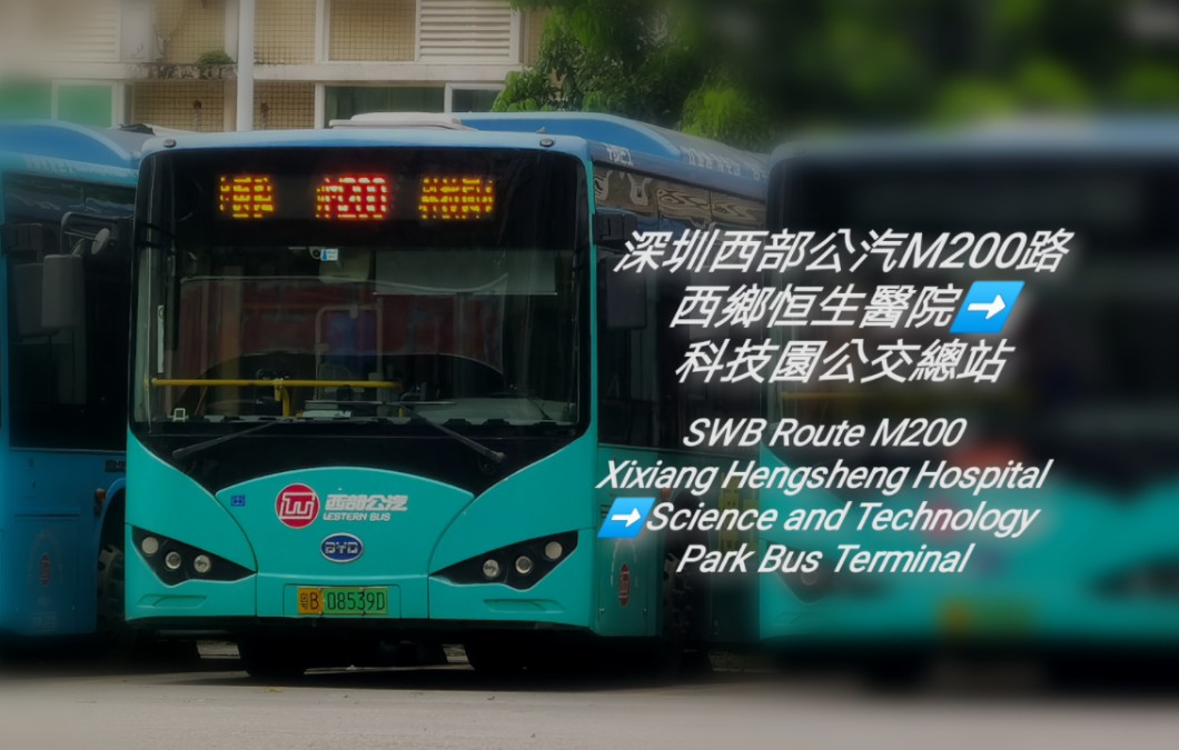 短小精悍,320近親?-----深圳西部公汽m200路前方展望全程(20240829)