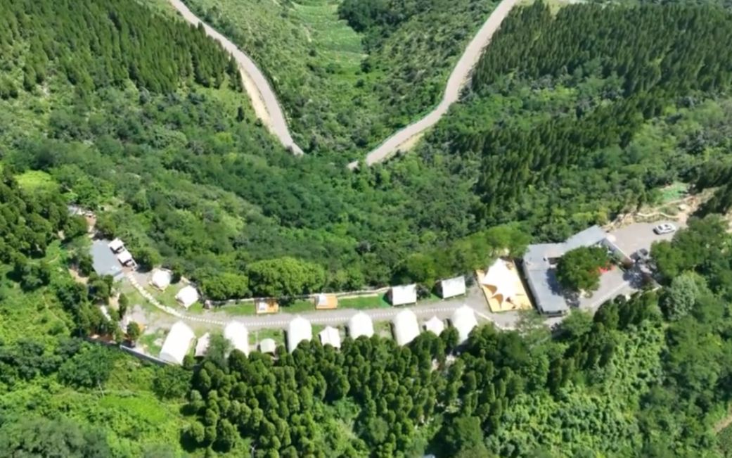 青州市庙子镇:好生态为乡村振兴增添"绿动能"