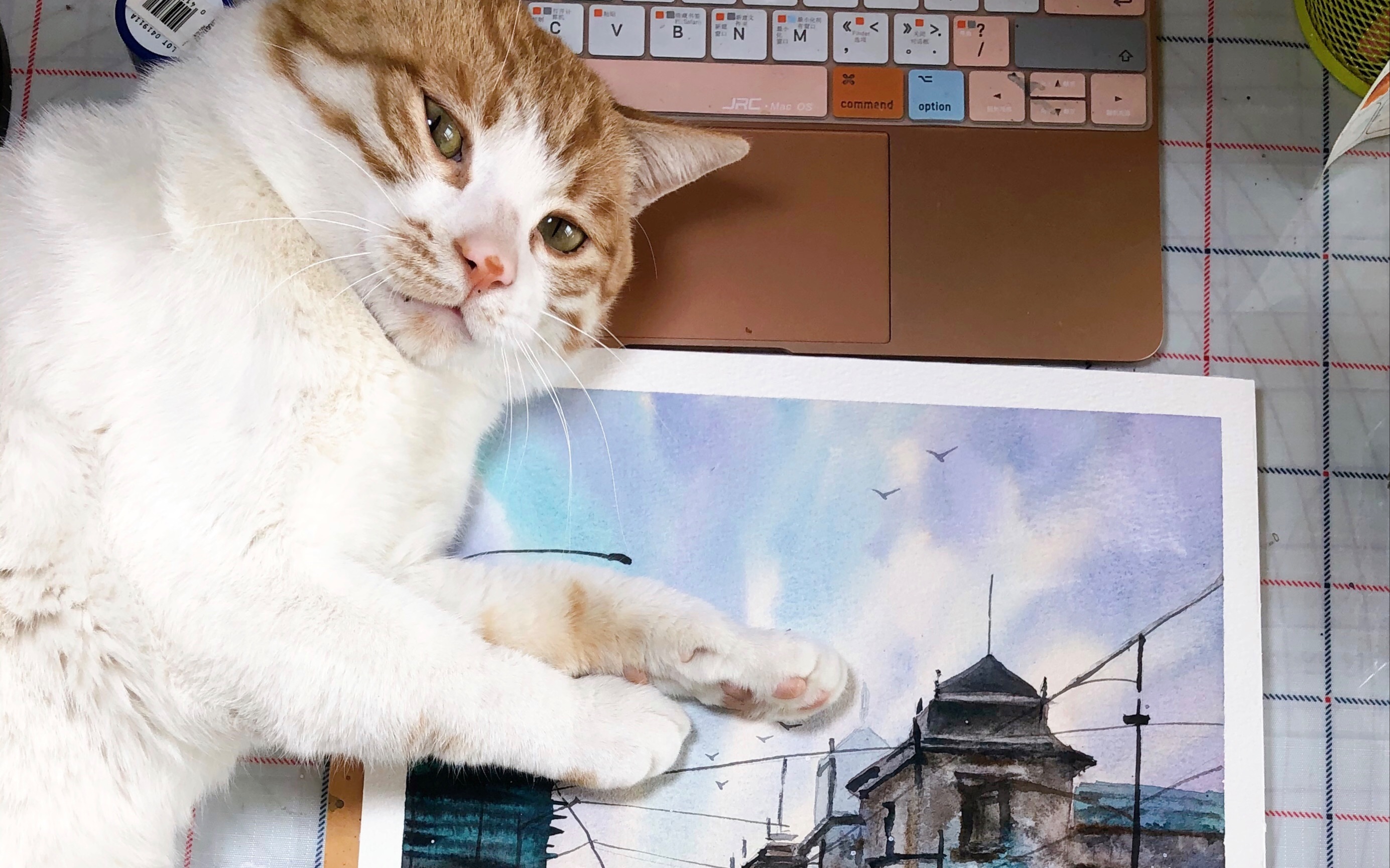 街景系列(2)——橘猫作为背景板的水彩画视频教程_哔哩哔哩_bilibili