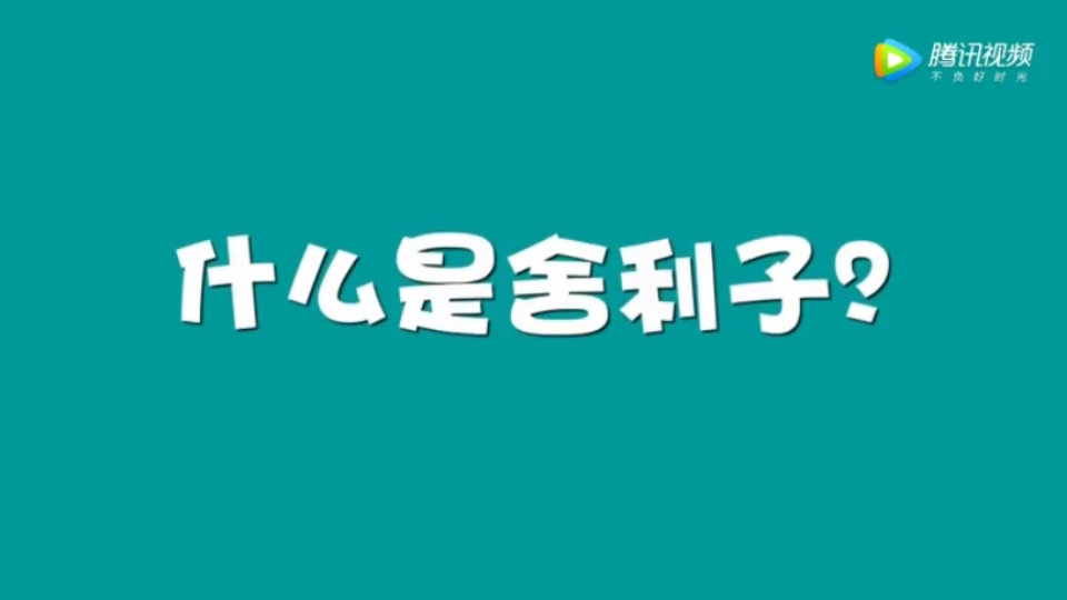 佛教知识什么是舍利子哔哩哔哩bilibili